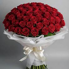 Букет 101 Красная роза Блэк Мэджик в Горняке