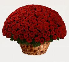 Премиум букет из: Розы в Горняке